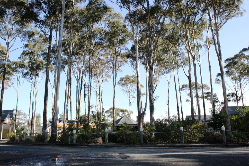 Waverley House Cottages Lakes Entrance Exterior photo